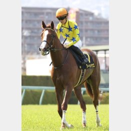 3馬身差の完勝