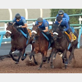 外フィアスプライドに馬なりで並びかけた（真ん中）