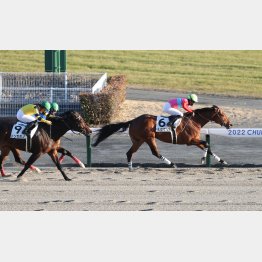 １勝級勝ちよ同舞台になるキタノエクスプレス