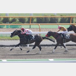 渡島特別で連勝