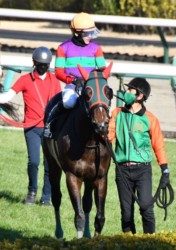 競馬 メジロカンムリ 馬券 - その他