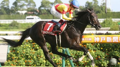 【神戸新聞杯】ジャスティンパレスが３馬身半差の快勝で重賞初Ｖ