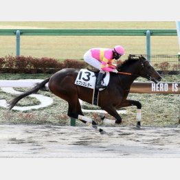 未勝利を勝った東京なら