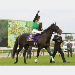 昨年の勝ち馬はタイトルホルダー