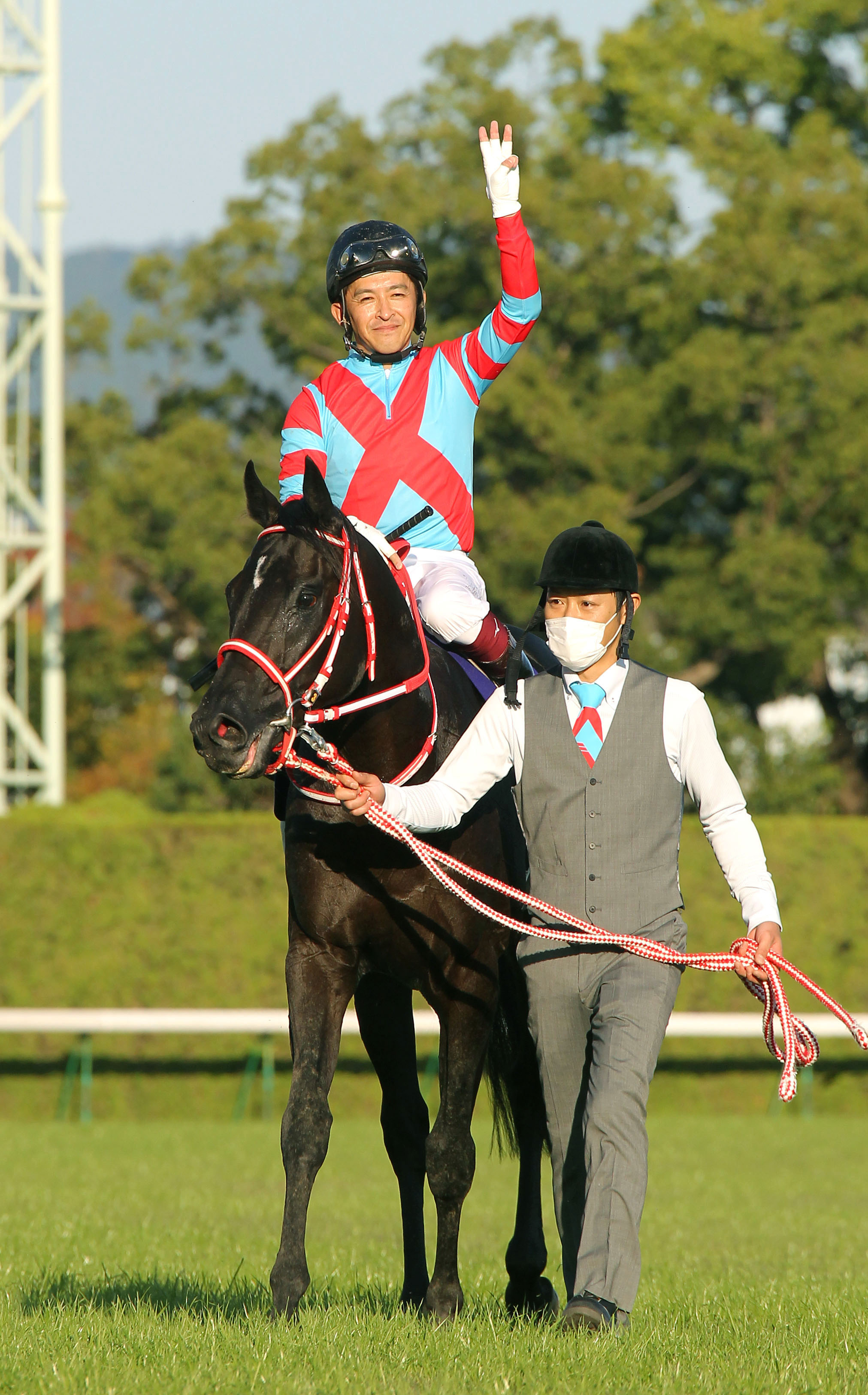 独特な 【送料無料】 菊花賞馬ディープインパクト号パネル写真 ホース