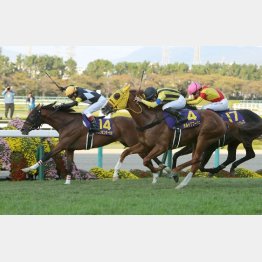 アスクビクターモアはかなり強い競馬をした