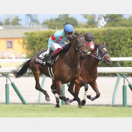 ききょうＳを制して２連勝