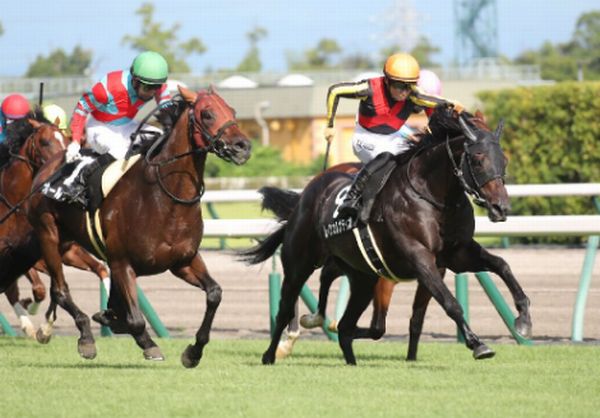 競馬 メジロカンムリ 馬券 - その他