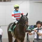 【チャンピオンズＣ】石川ジュンライトボルトＧⅠ初Ｖへ 「芝の反応をダートでも発揮する馬はなかなかいない。それがこの馬の強み」