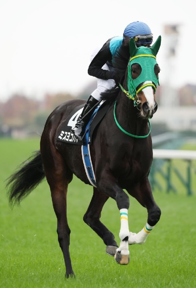 競馬 メジロカンムリ 馬券 - その他