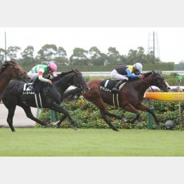 前走の納谷橋Ｓを勝って３連勝