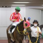 【田中の土曜競馬コラム・ＹＪＳファイナルラウンド第２戦】
