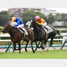 ノーステッキで新馬勝ち