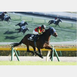 百日草特別に勝利
