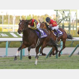  まさに〝１強〟と思わせた阪神ジュベナイルフィリーズ