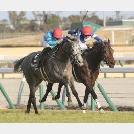 昨年の新春Sを快勝