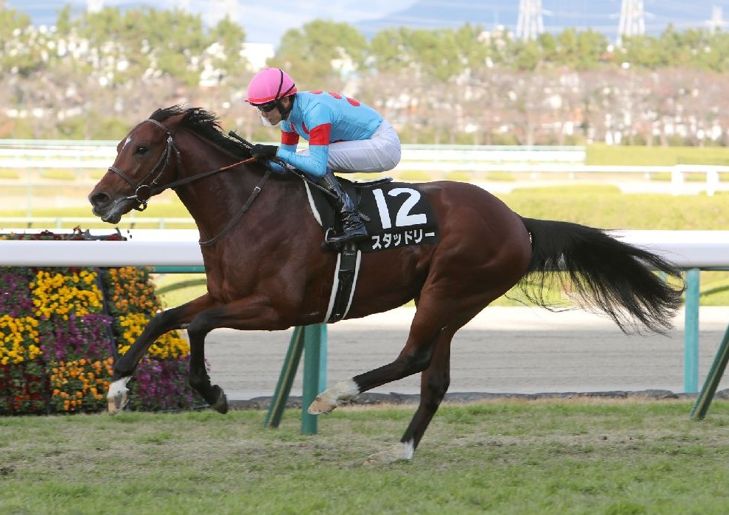 競馬 メジロカンムリ 馬券 - その他