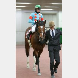 ①着プロミストウォリア（ムルザバエフ騎手）「レースに関しては馬の上に乗ってるだけのイメージ」