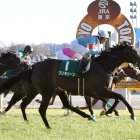 【東京新聞杯】データ作戦　今年も牝馬を狙え！