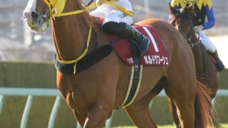 【阪神大賞典】１番人気②着ボルドグフーシュ　川田は本番で〝ジンクス〟を破るか