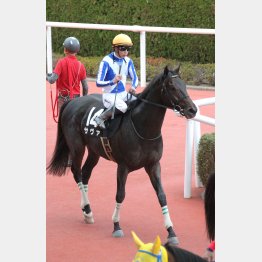 芝２走目で波乱呼ぶ