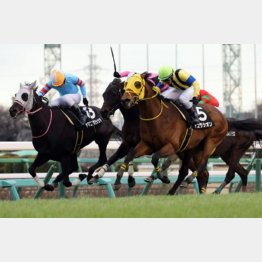 ２連勝中で勢い十分