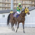 【ドバイワールドカップデー】早くも１番人気イクイノックスと〝二刀流〟ウシュバテソーロの凱旋門賞揃い踏みはあるのか
