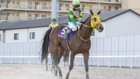 【ドバイワールドカップデー】早くも１番人気イクイノックスと〝二刀流〟ウシュバテソーロの凱旋門賞揃い踏みはあるのか