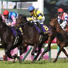 【桜花賞】有力馬に騎乗する川田、武豊、ルメール　この３人の組み合わせで重賞で断然少ないのは…
