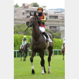 連勝機だ