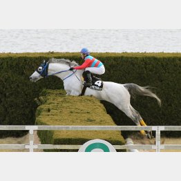 タマモプラネットは京都障害重賞・１８年京都ジャンプＳの勝ち馬