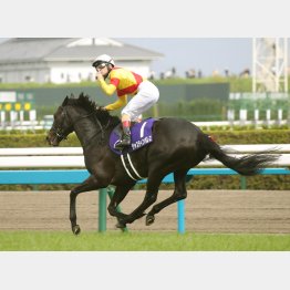 ジャスティンパレスの天皇賞・春が今年のＧⅠ２勝目