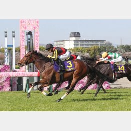 桜花賞は圧巻の勝ちっぷり