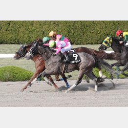 前走のポラリスＳも好内容の②着