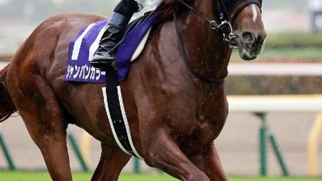 【安田記念】シャンパンカラー古馬撃破だ