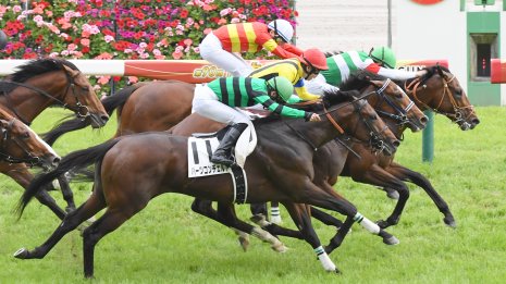 現在、５対５のイーブン 勝ち越しがかかる安田記念は関東馬が最も勝っているＧⅠ
