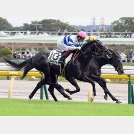 強敵相手に新馬勝ち