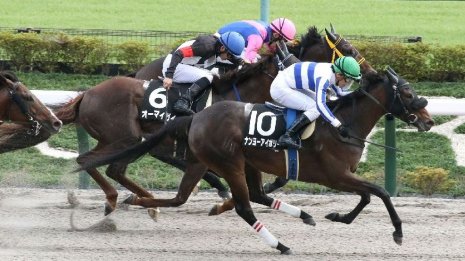 【東京本紙・外山の土曜東京11Ｒ】