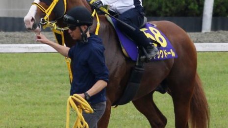 【安田記念】出走全馬の特選情報