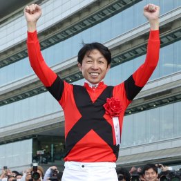 【安田記念】ジャックドール２階級制覇へ　フルモデルチェンジ完了