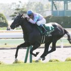 【函館スプリントＳ】今年も斤量有利な３歳馬か