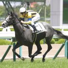 先週、早くも新馬勝ち第１号を輩出　ブリックスアンドモルタルにかかる半端ない期待の大きさ
