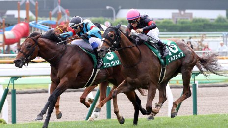 【函館スプリントＳ】データ作戦　２ケタ大敗からの巻き返し