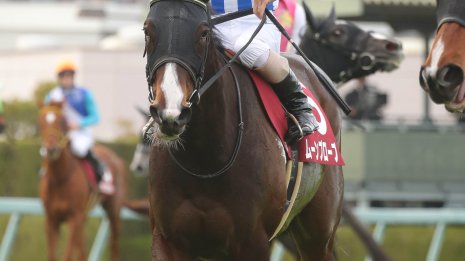 【函館スプリントＳ】今年も３歳牝馬だ！　ムーンプローブ古馬撃破