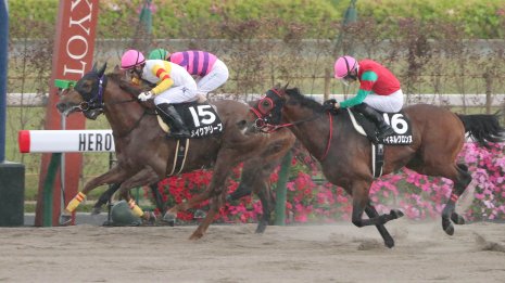 【大阪本紙・弘中の日曜阪神11Ｒ】