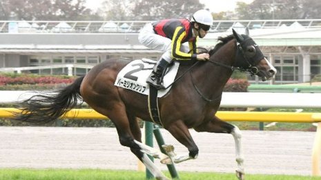 【レスキュー隊の日曜競馬コラム・東京12Ｒ】