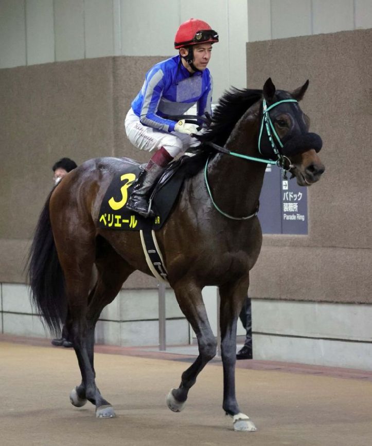 代引可】 ペリエール オキザリス賞 現地的中単勝馬券 ※ユニコーン