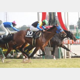 長良川特別を快勝