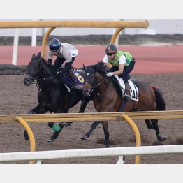 最強馬の相手本線はデキもいいジャスティンパレス