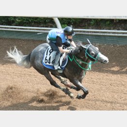 ここは①着固定で大丈夫